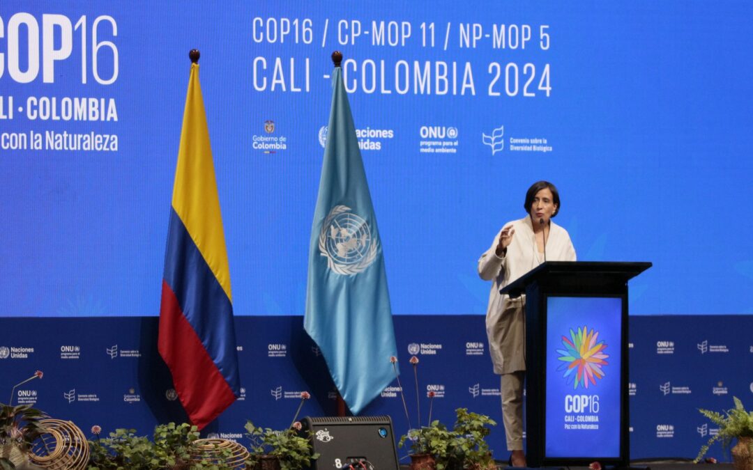 COP16 Colombia