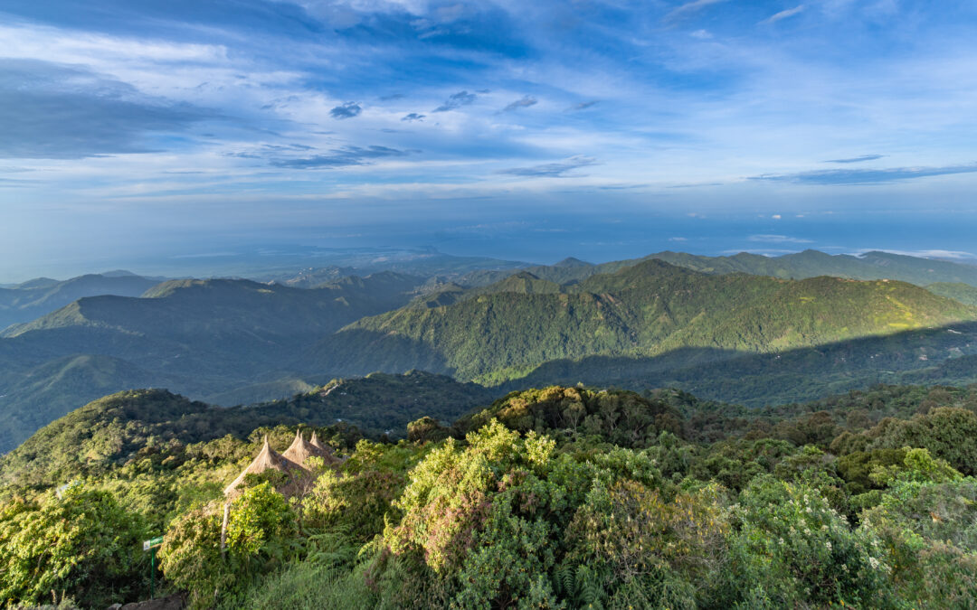 What to Expect from COP16: Key Goals and Priorities for Global Biodiversity