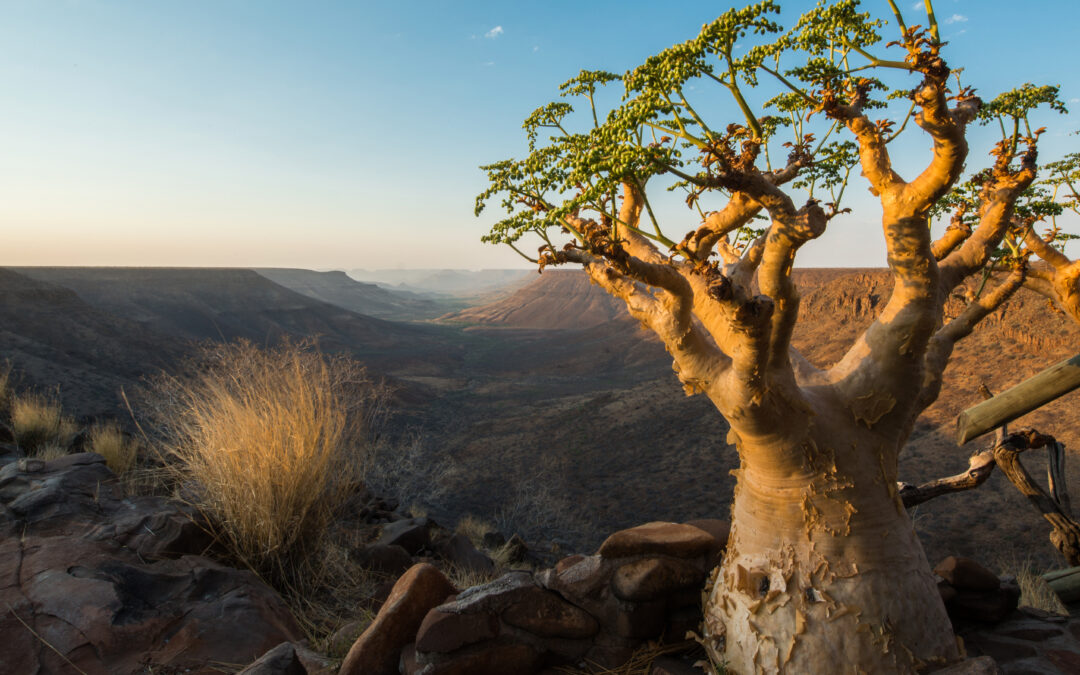 Unlocking Nature-Based Tourism